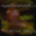 Relative dating