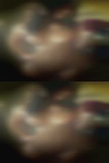 Naked girls having with woman